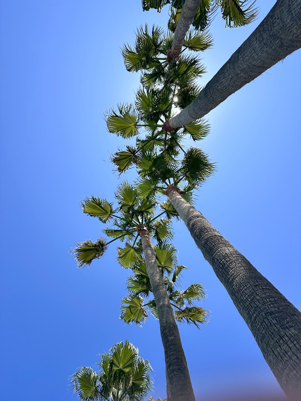 Våga vägra högt UV-index